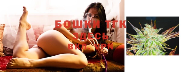 ешки Иннополис