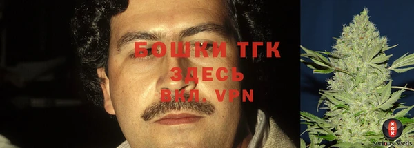 ешки Иннополис