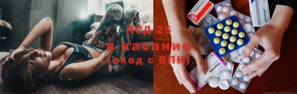 стафф Инта