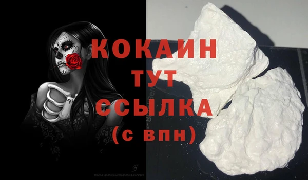 стафф Инта
