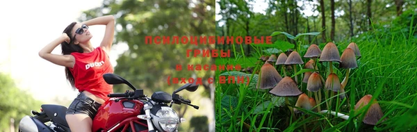 стафф Инта