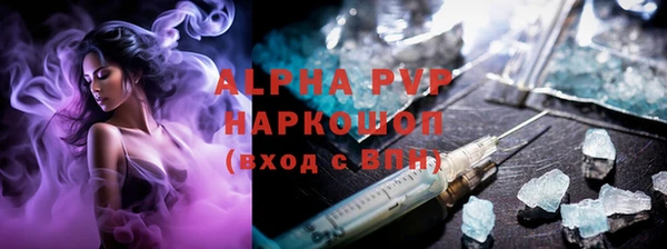 стафф Инта